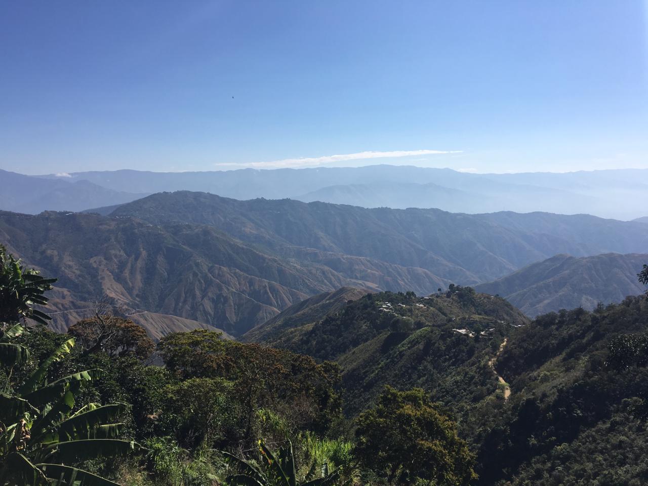 Colombia -  Antioquia Estate