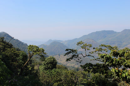 Guatemala - El Cabro