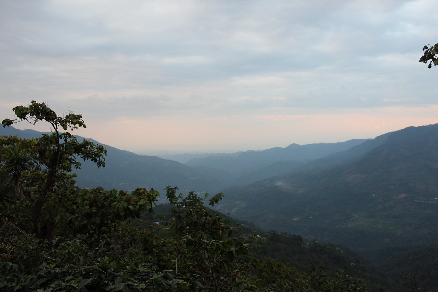 Guatemala - El Cabro