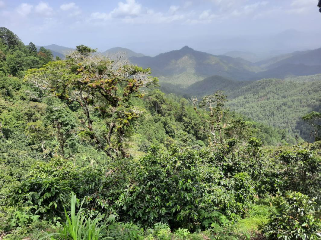 Nicaragua - Agua Sarca