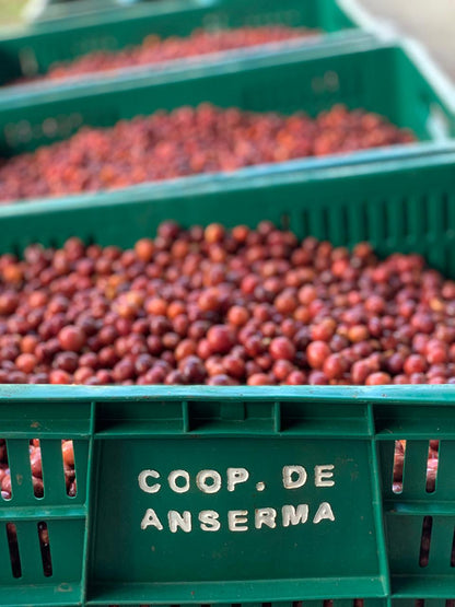 Colombia - Siracusa